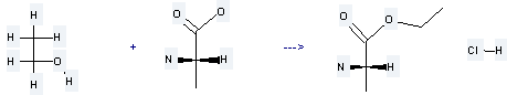 Ethyl L-alaninate hydrochloride is prepared by reaction of ethanol with L-alanine.